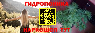 ГАЛЛЮЦИНОГЕННЫЕ ГРИБЫ Донской
