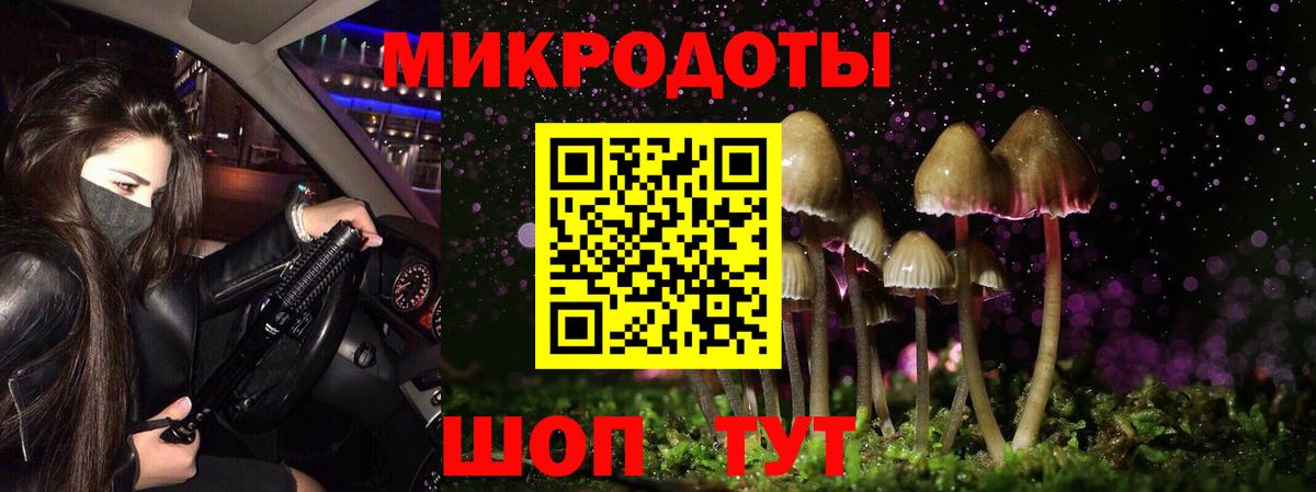 Псилоцибиновые грибы MAGIC MUSHROOMS Дагестанские Огни